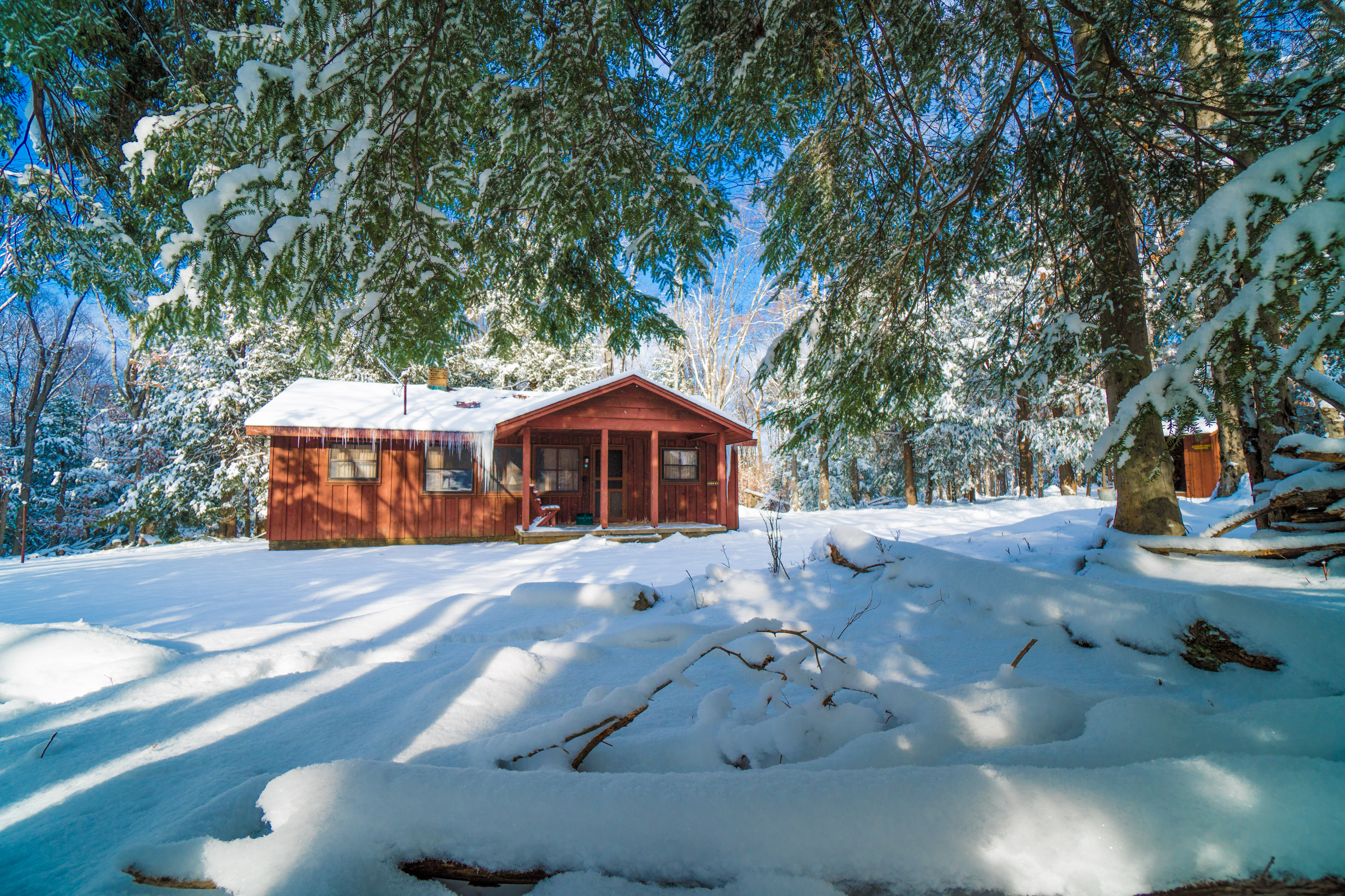 Cabin rentals in Blackwater Falls State Park in the winter