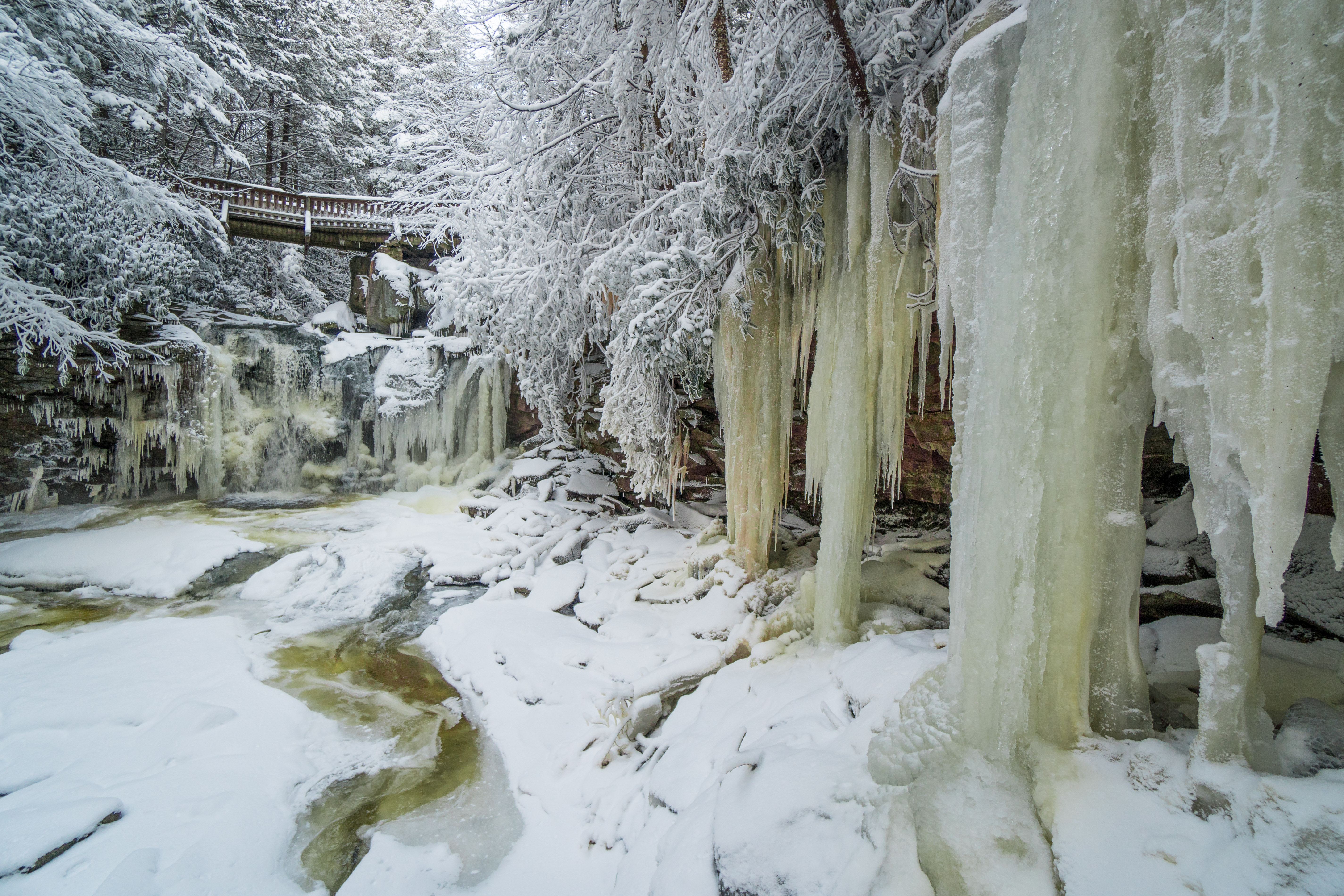 Elakala Falls frozen in Blackwater Falls State Park, West Virginia.