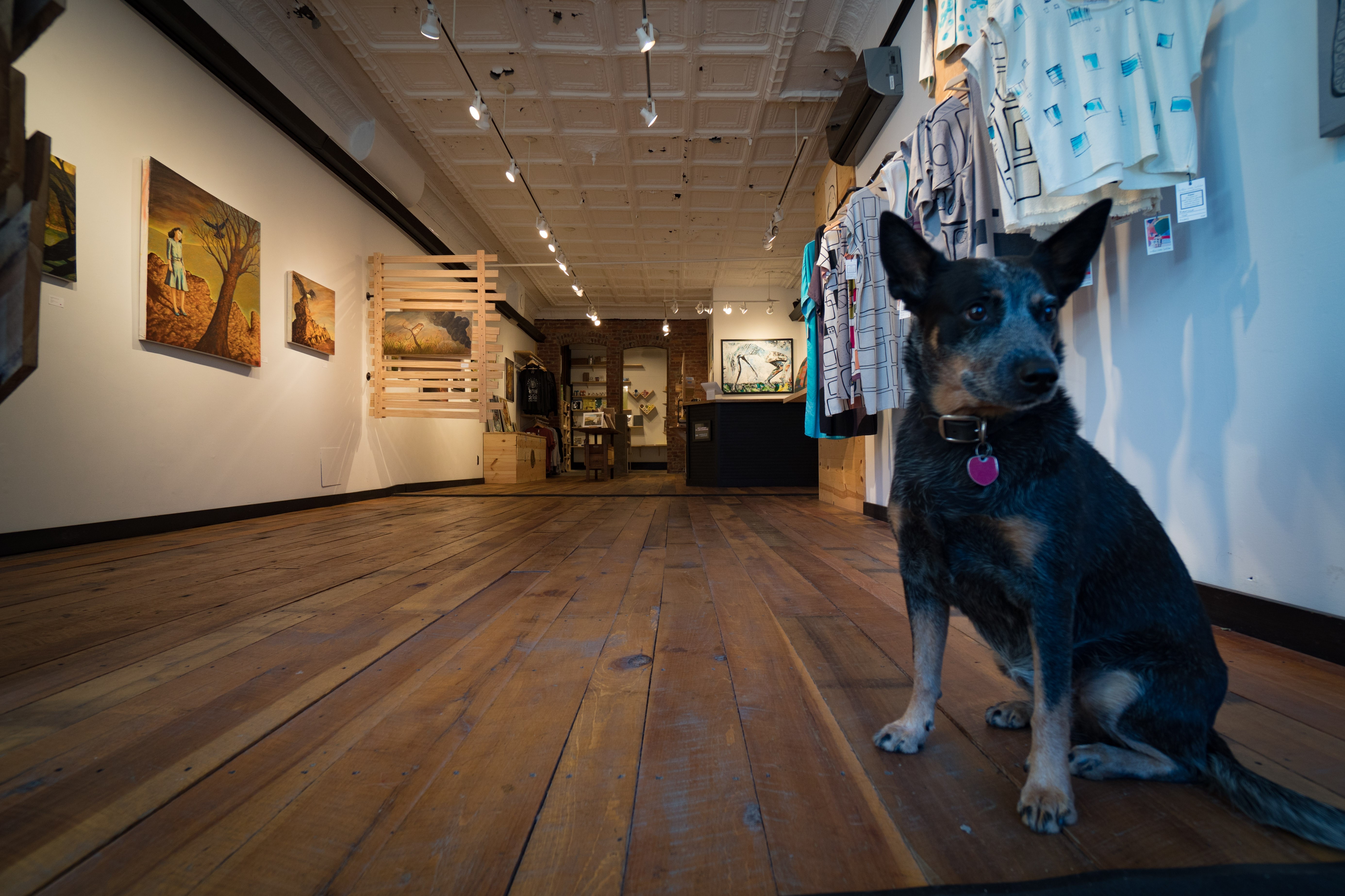 Contemporary art springs to life at Bloom art Gallery in historic Thomas, West Virginia.