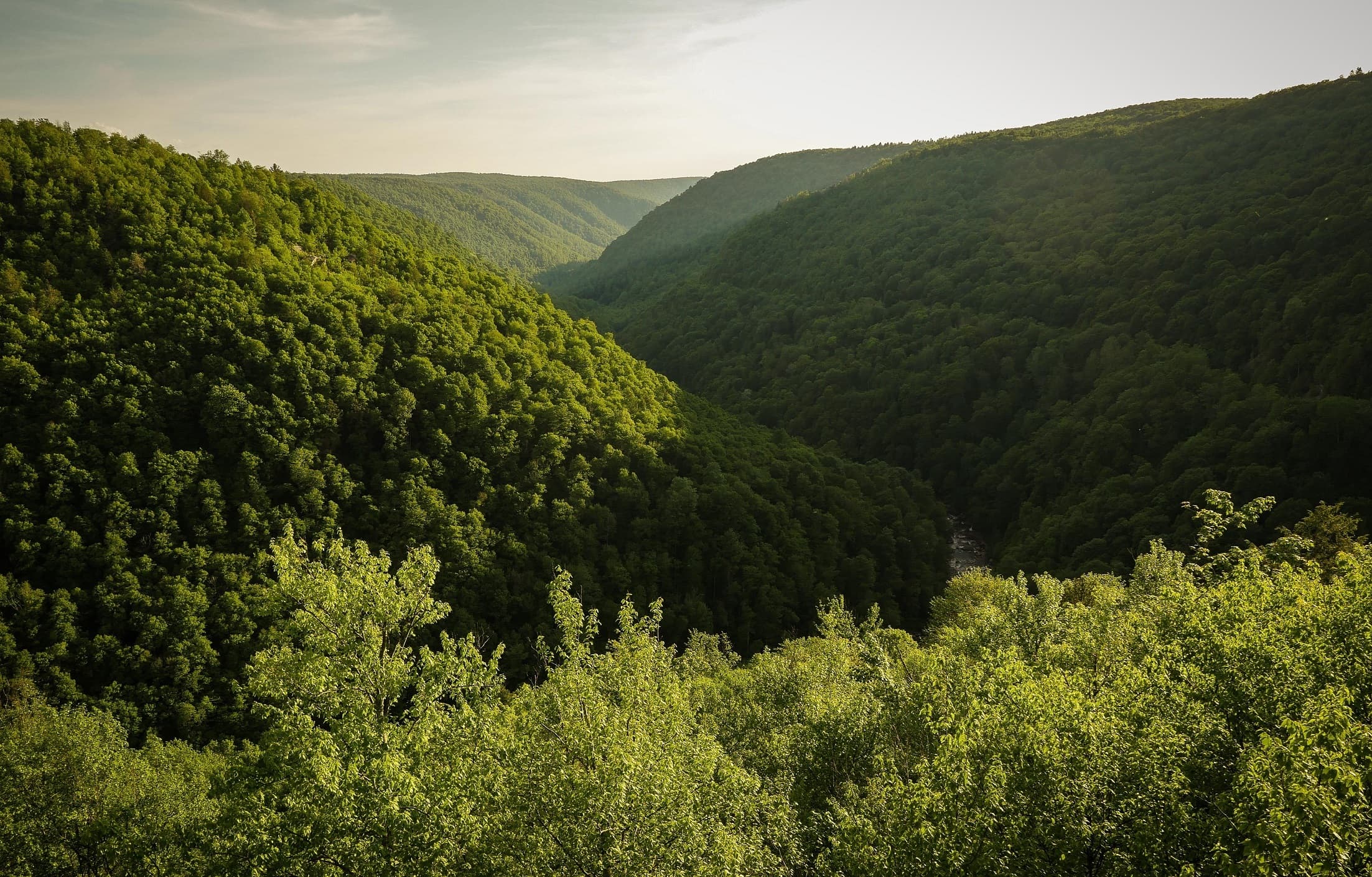 Sightseeing - Canaan Valley, WV