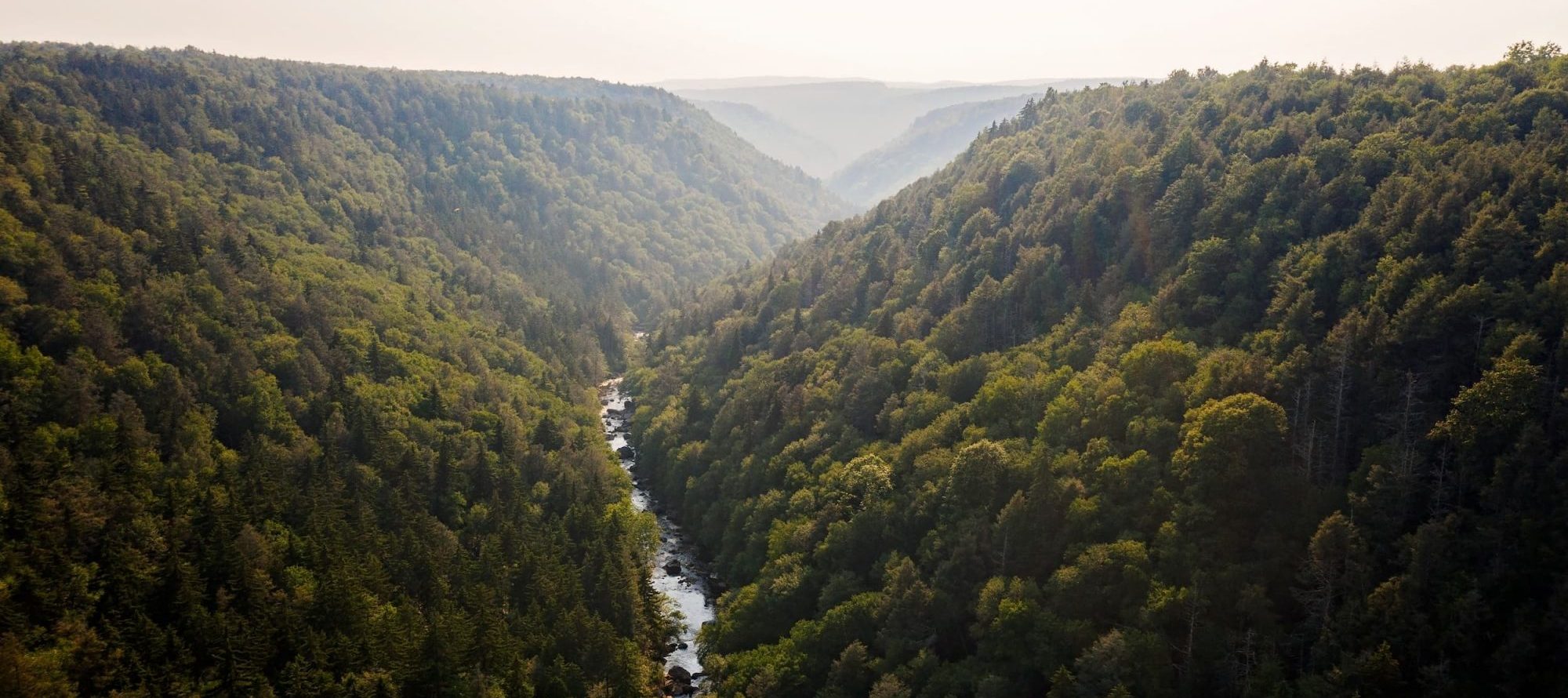 Trip Inspiration - Canaan Valley, WV