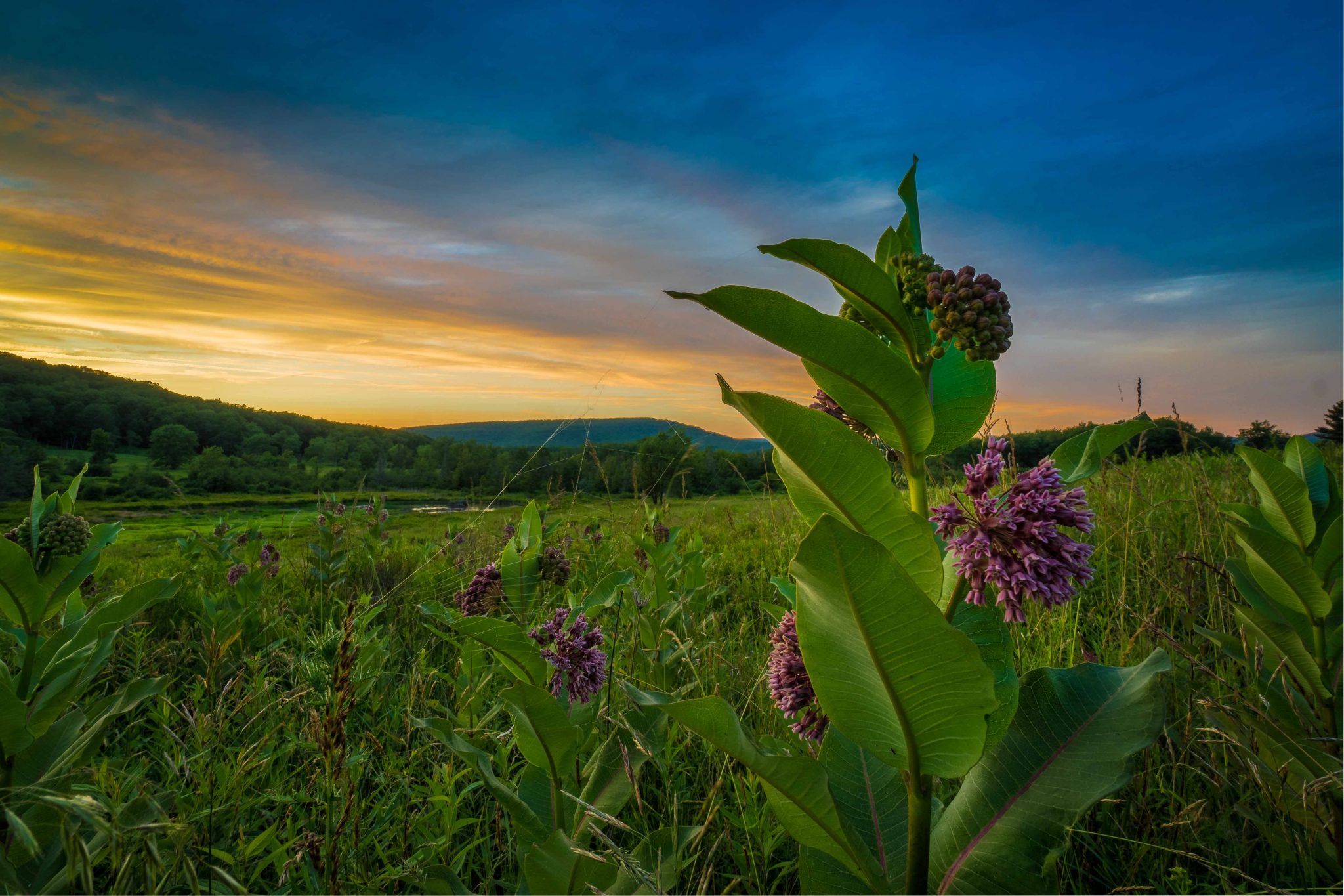 history-of-canaan-valley-canaan-valley-wv