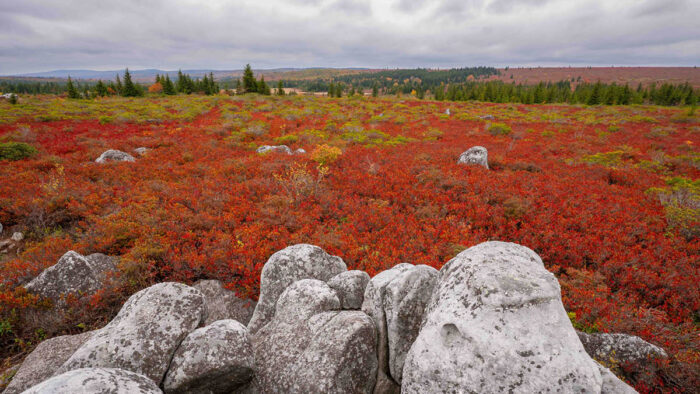 Recent-Travel-Tips-Header-DS-