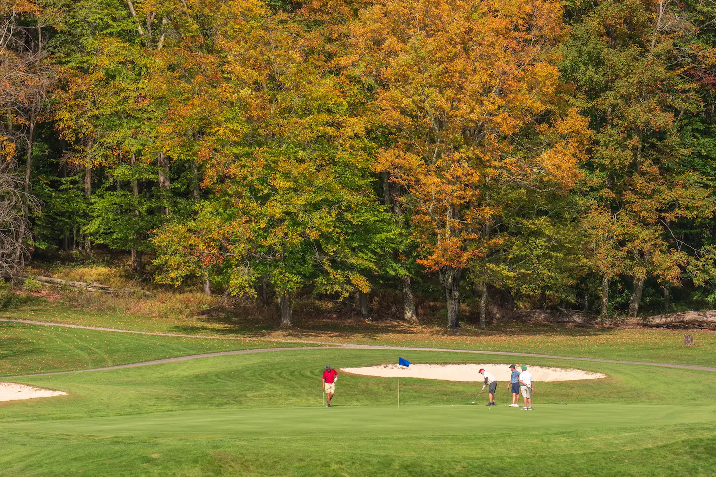 Four golfers play on a lush green course bordered by trees showing early fall colors of yellow, orange, and green.