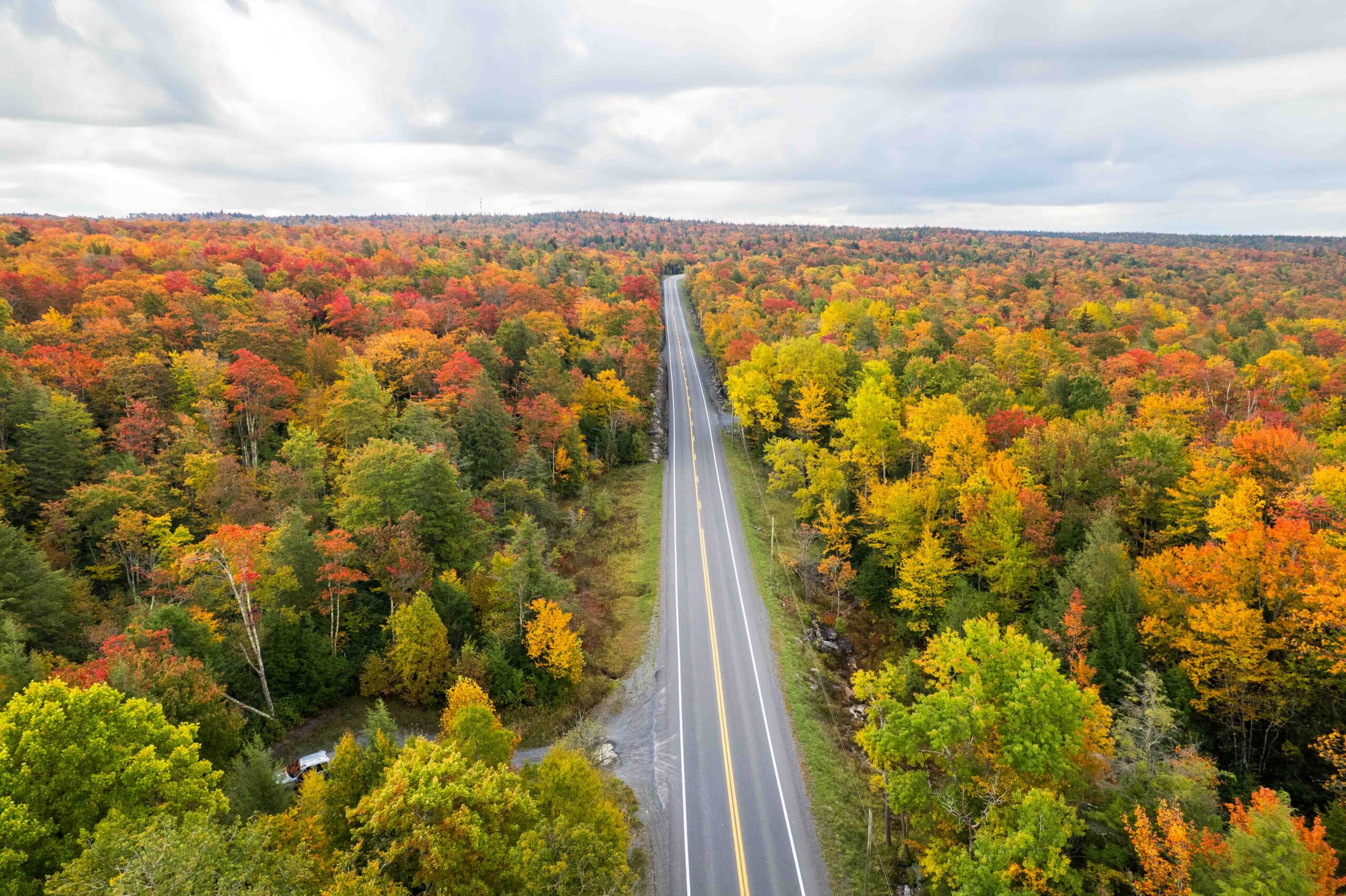 DON’T WAIT — FALL COLOR IS HAPPENING FAST!